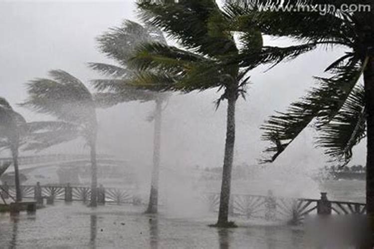 梦见刮台风下暴雨什么预兆