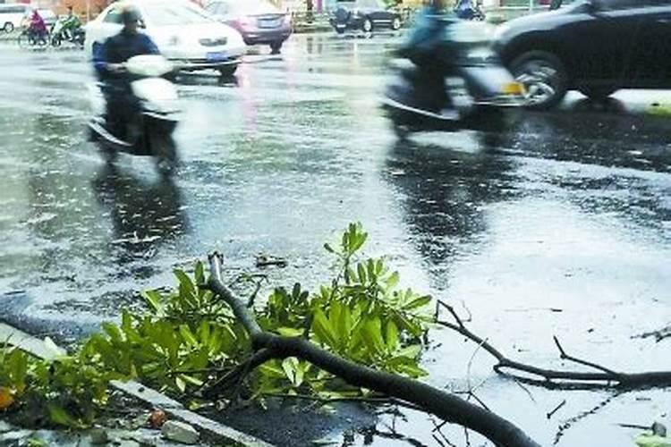 梦见刮台风下暴雨什么预兆