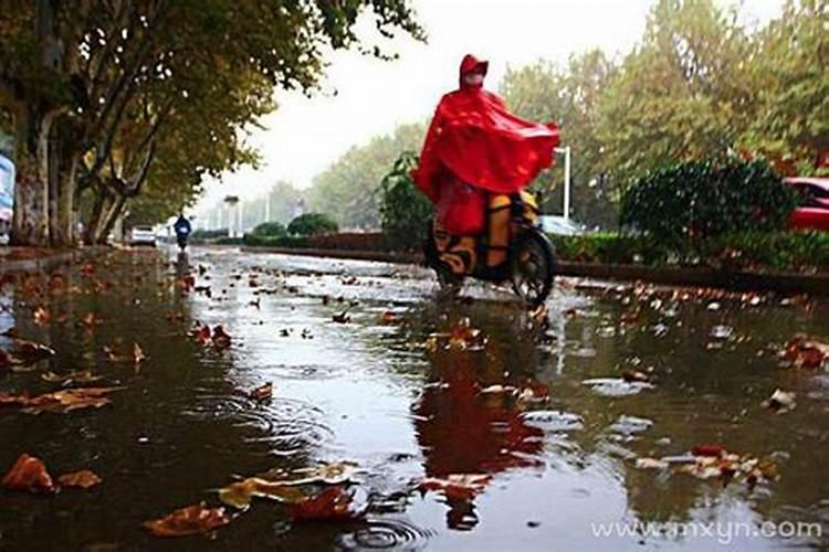 梦见刮台风下雨