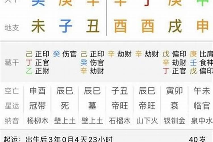 飞五行属性五行属什么