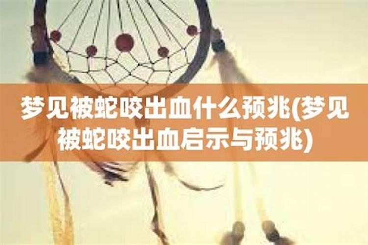 梦见被蛇咬出血是什么意思女性怀孕了