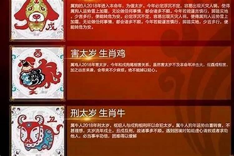 今年适合结婚的生肖属相是什么