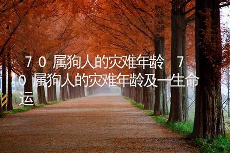 70属狗人的灾难年龄7月以后的话、命运