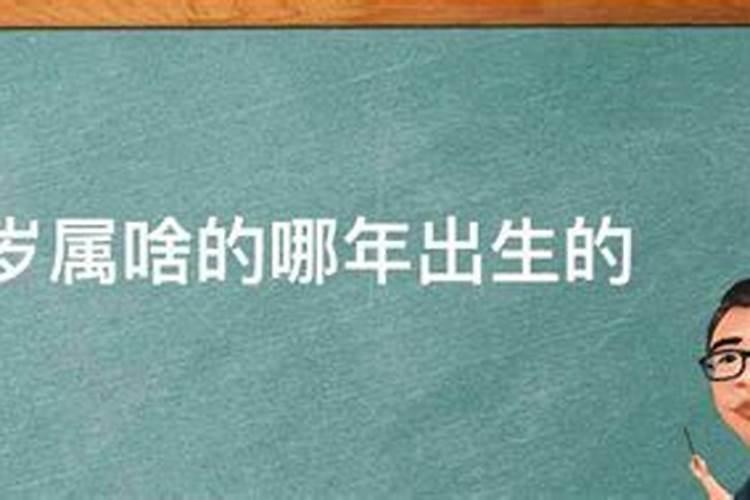 本人今年38岁属什么什么命