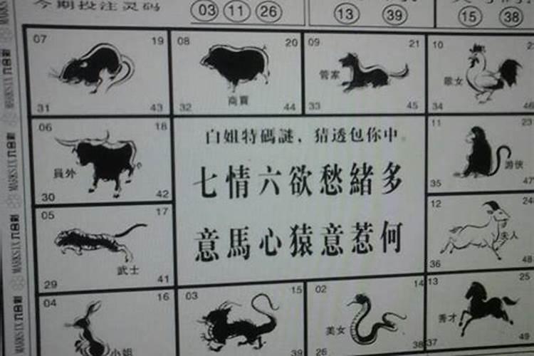 志得意满猜生肖