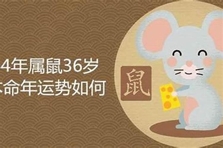 36岁是属什么属相的