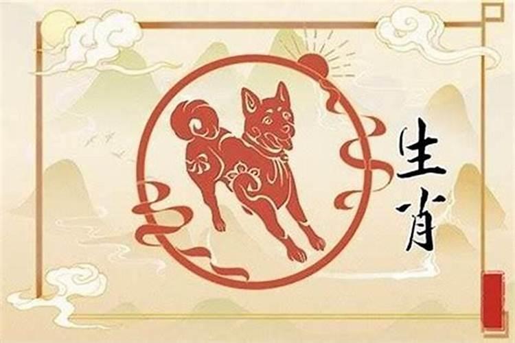 为什么属狗今年这么倒霉