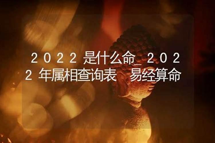 属相算命2022年运势查询