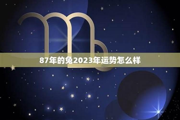 87年的兔2023年运势