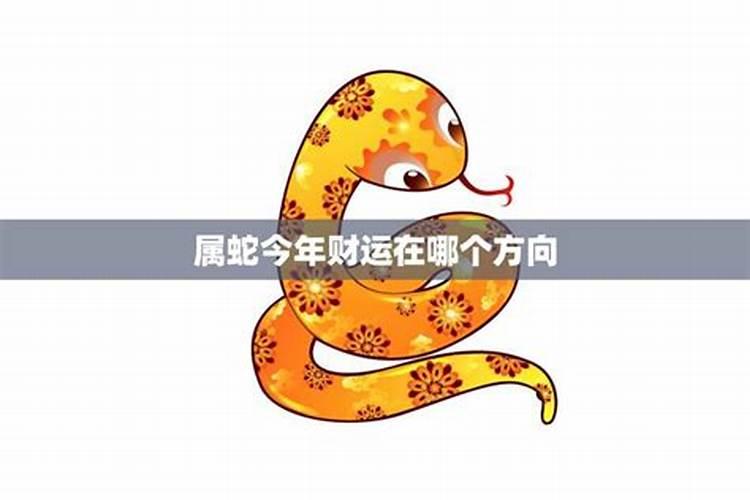 属蛇今年的财运方位