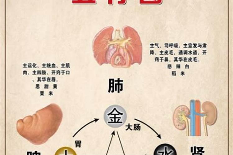 时五行属什么属性腊月