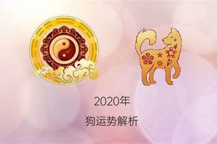 属狗的今年财运怎么样2020年