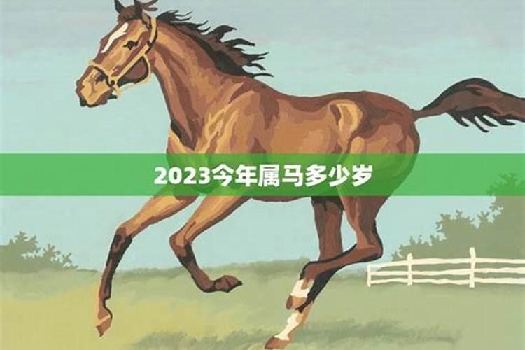 今年属马多少岁2022