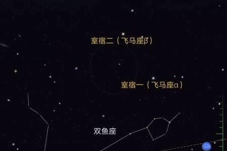 11月11生日的是什么星座