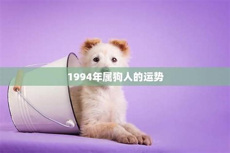 属狗1994年的是什么命