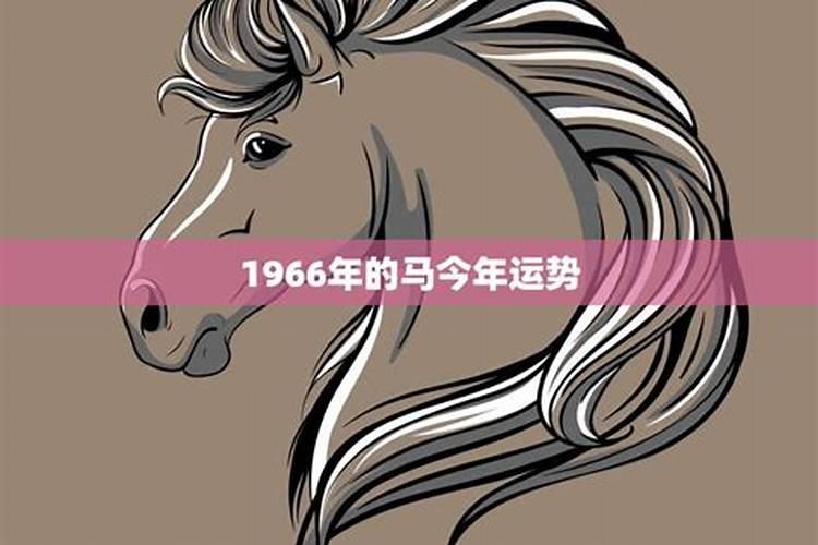 1966年今年的运势