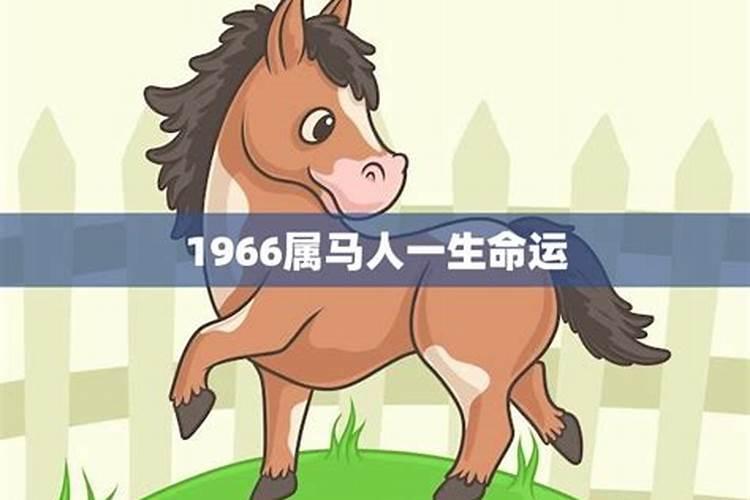 1966年出生的今年财运怎么样