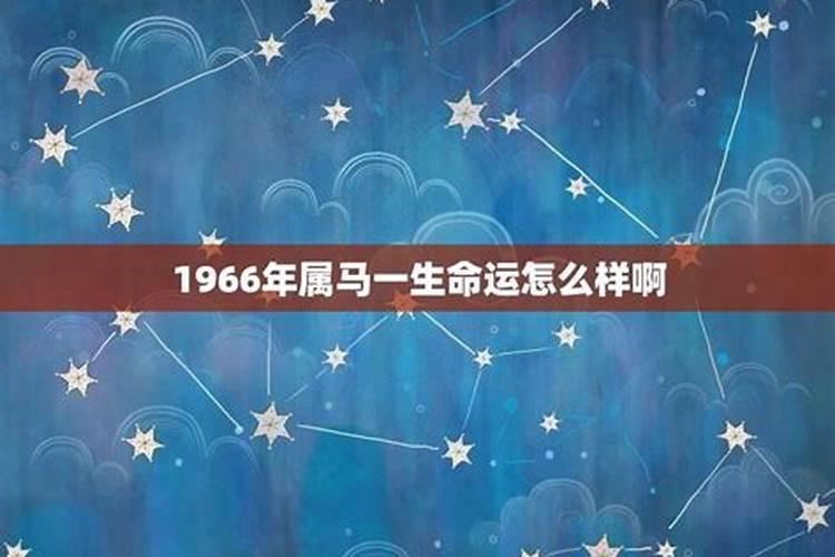 1966年属马的运气好不好