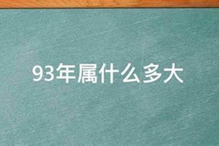 93年属什么多大了2020