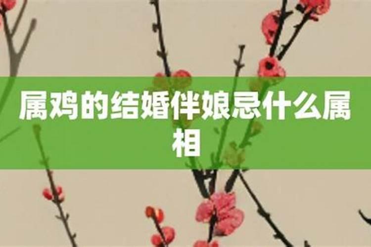 今年属鸡的结婚忌什么属相呢