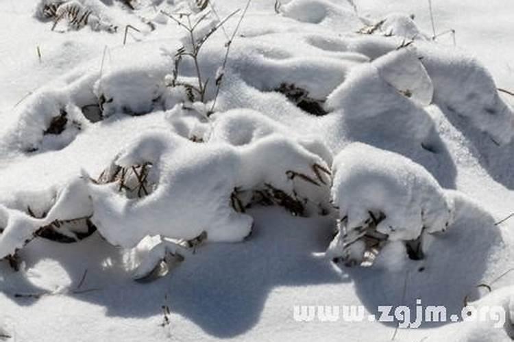 梦见下雪打滑