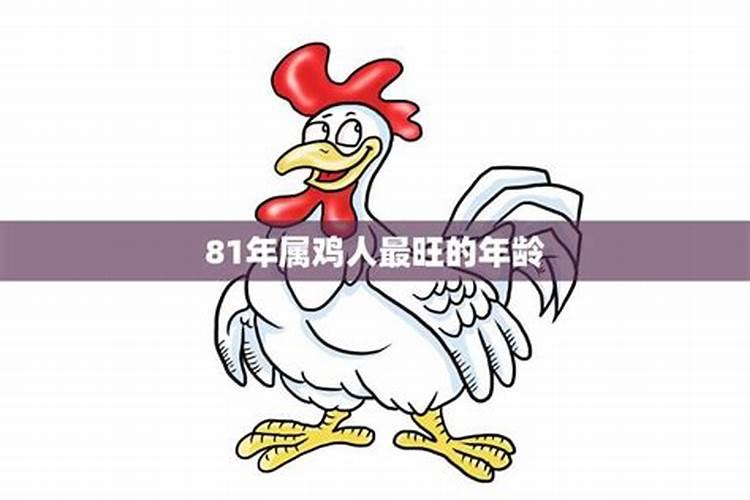 81年鸡几月份财运最好