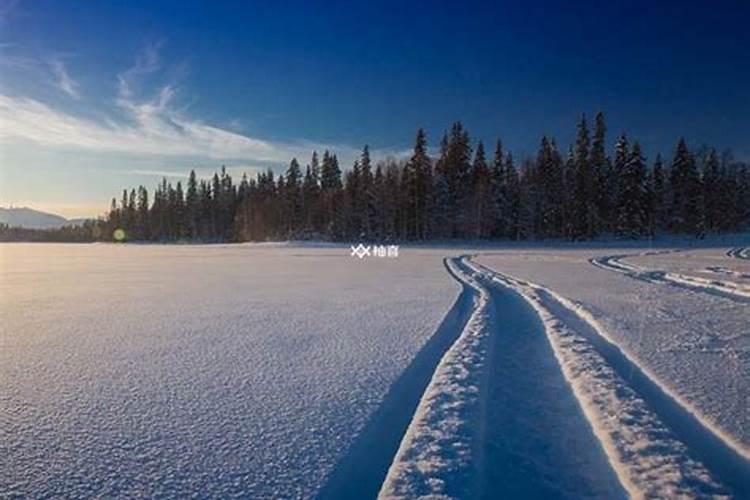 梦见下雪滑雪什么预兆呢