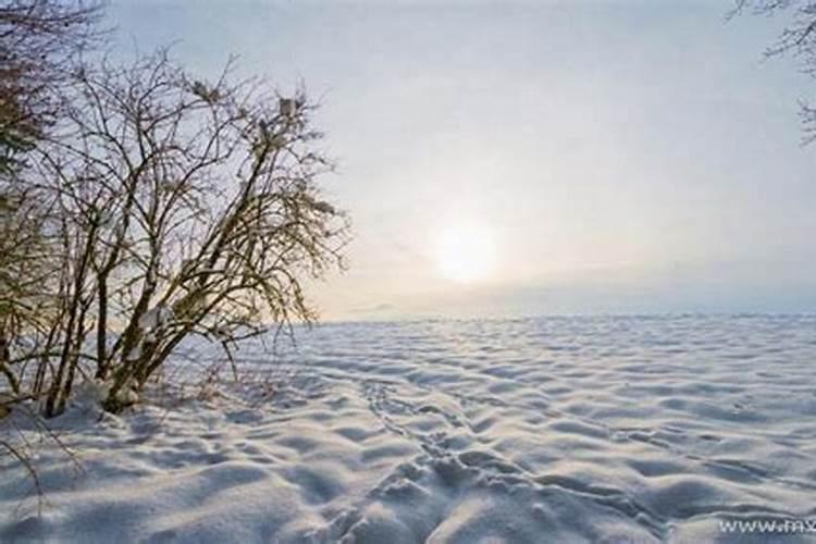 梦见雪地上坡又滑下来什么意思