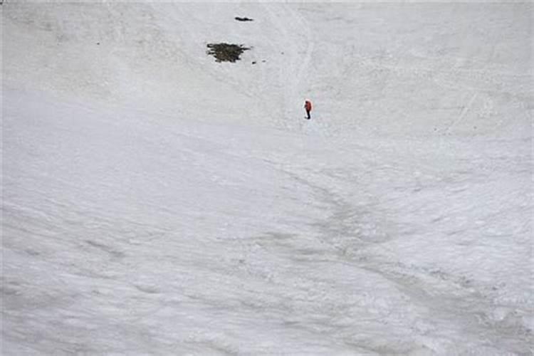 梦见在雪地滑下来