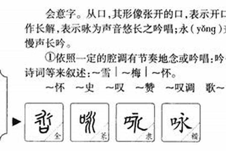 泳字五行属什么