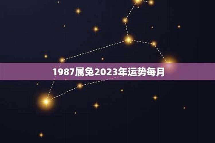 1987年属兔的今年多大岁数