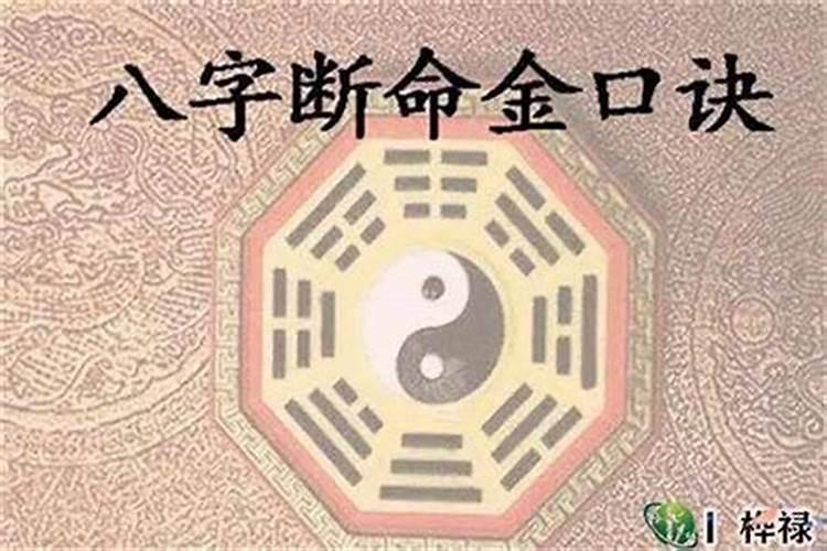 狗年犯太岁要注意什么呢