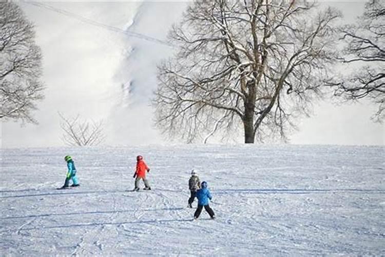 梦见滑雪坡上给别人拍照