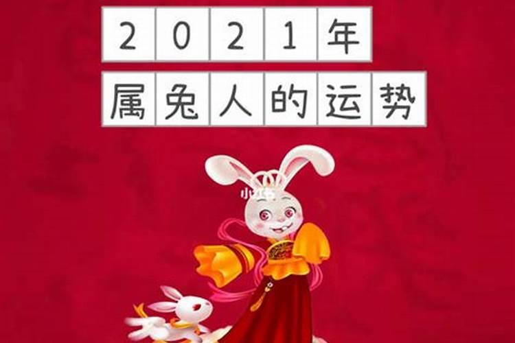 属兔的2021年财运各方面怎么样