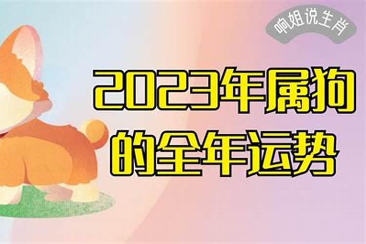 易经2018年狗人运势如何