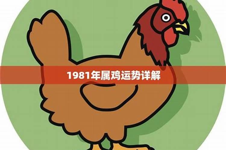 属1981鸡2020年运势及运程