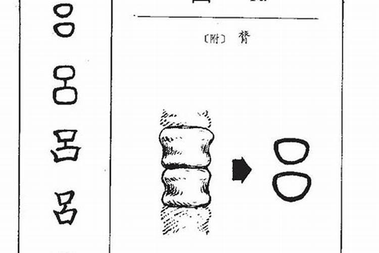 吕字五行属什么