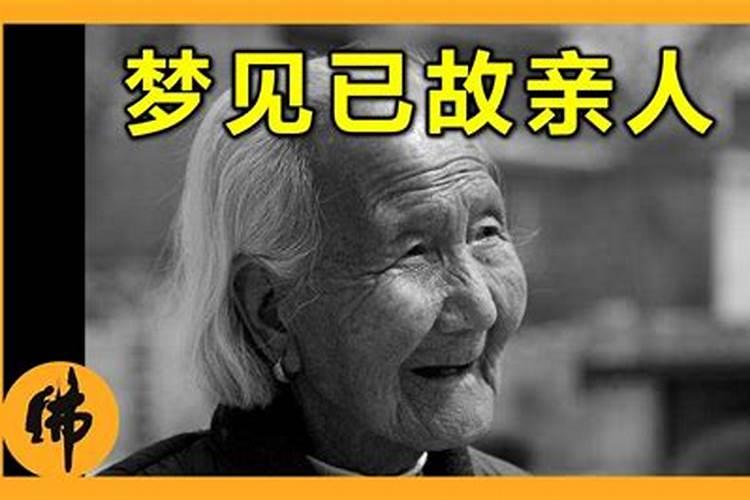 49年属于什么生肖年