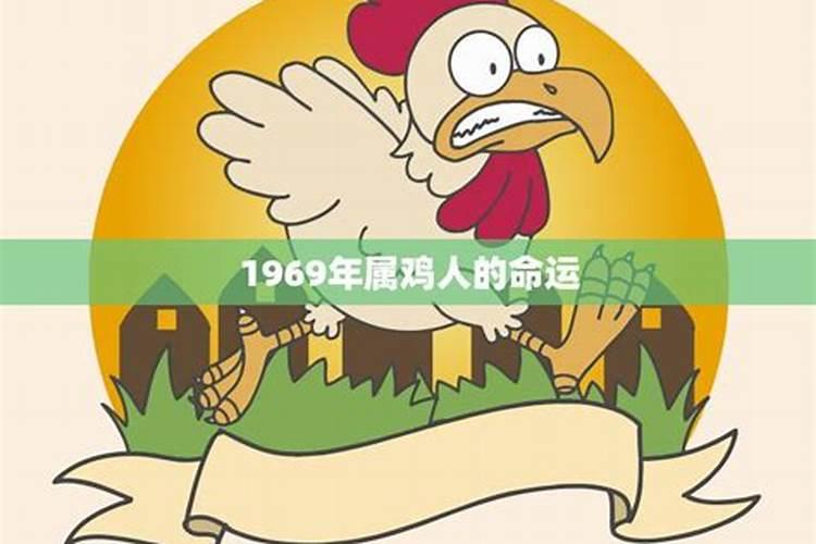 1969年属鸡的命理