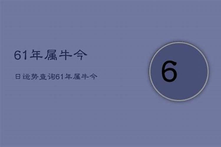 61年出生人今年运气