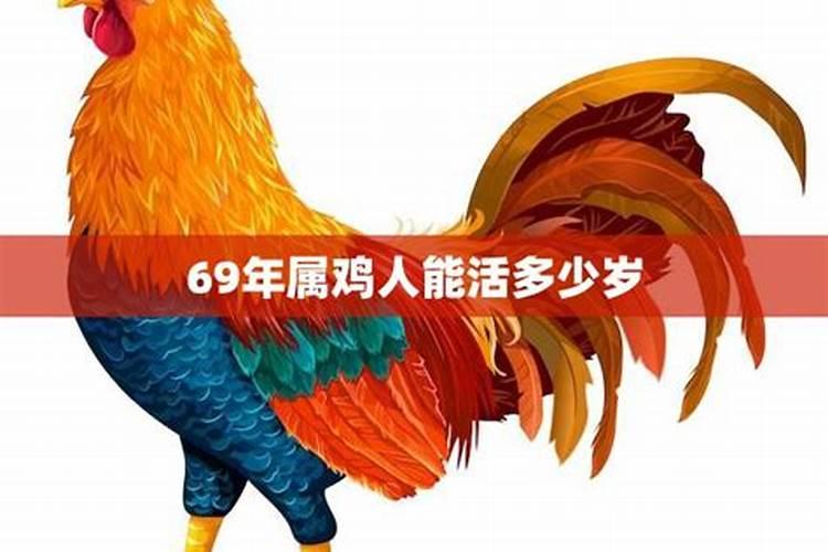 69年属鸡人2021年的命运