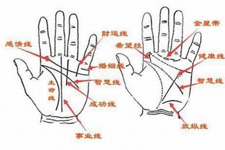 集体土地算婚姻财产吗