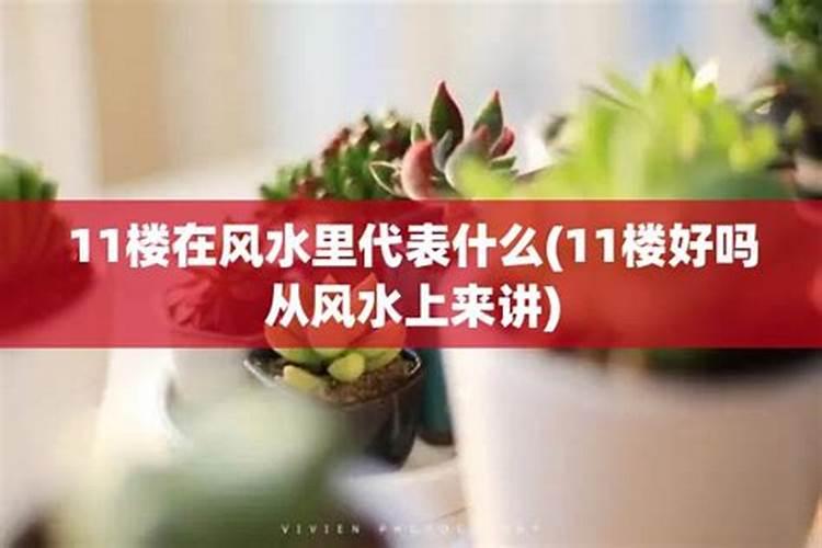 18楼风水代表什么