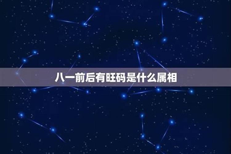 8是什么生肖码新闻