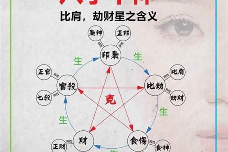 属狗人和属鸡的人相处怎样