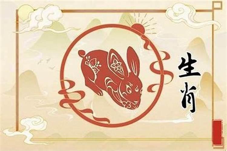 属兔子的今年几岁,二年级