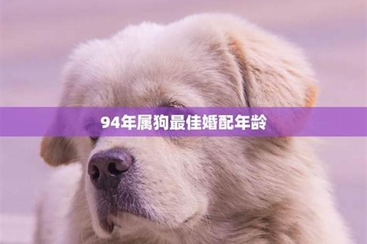 94年属狗28岁结婚