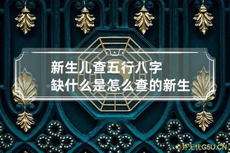 查五行属性是什么