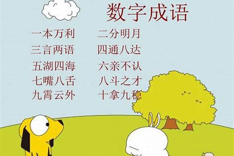 泥鳅是什么生肖和数字有关的