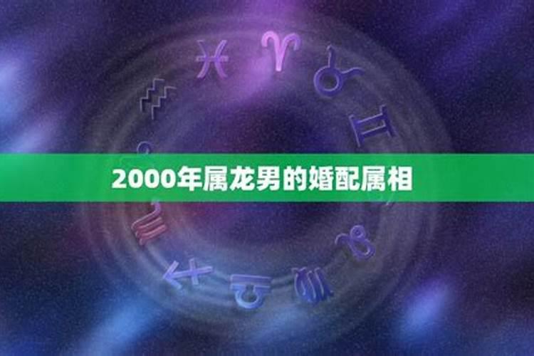 2000年属龙的男孩的最佳婚配与2002年马